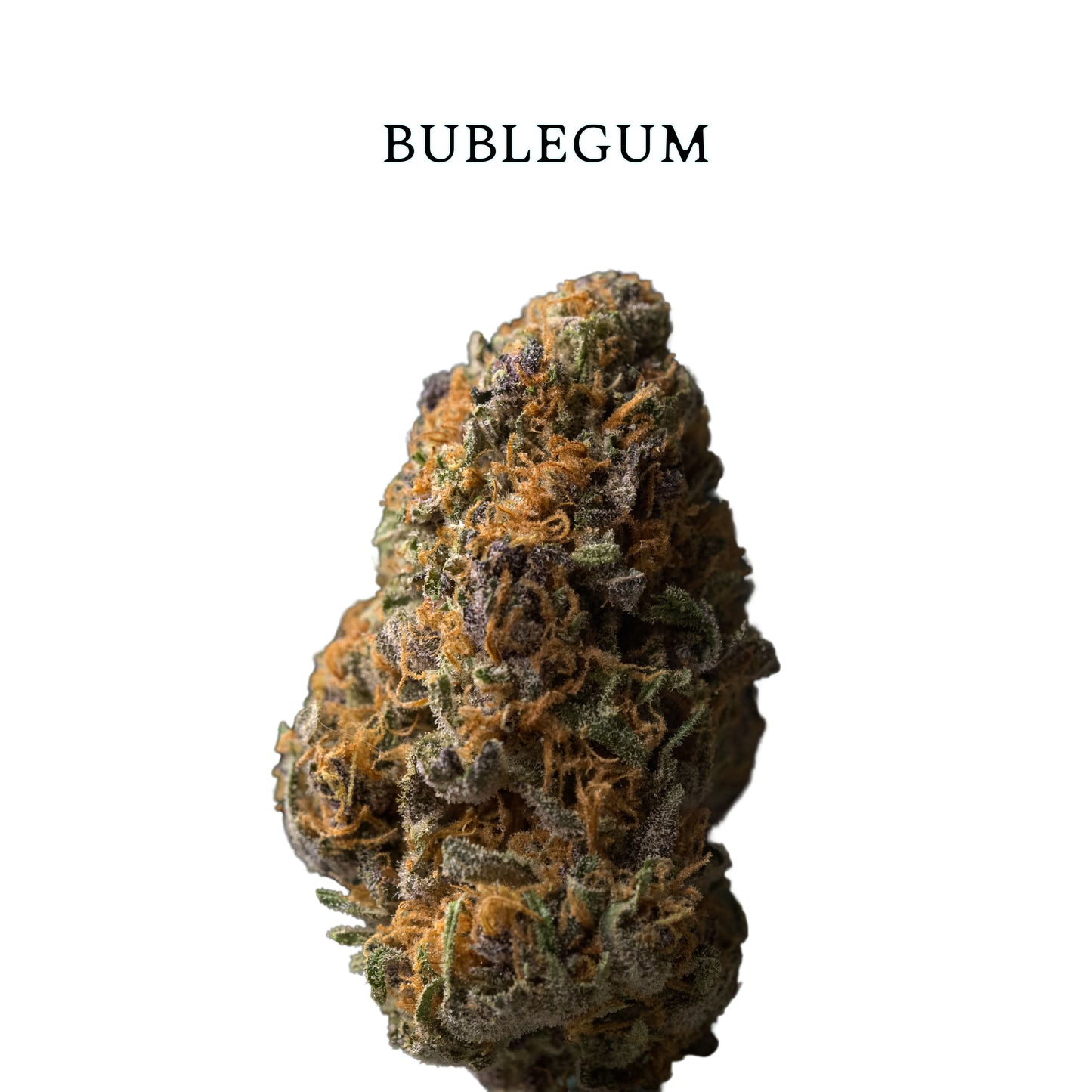 FLOR BUBLEGUM