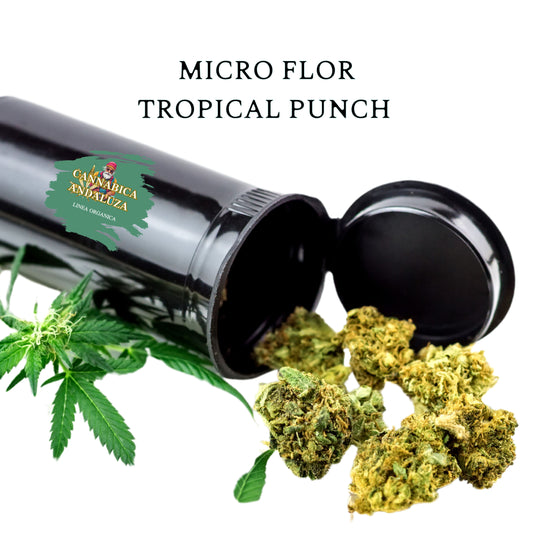 oferta micro flor 50gr x 22,50€