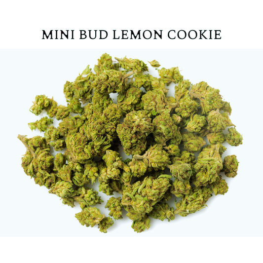 MNI BUD LEMON COOKIE